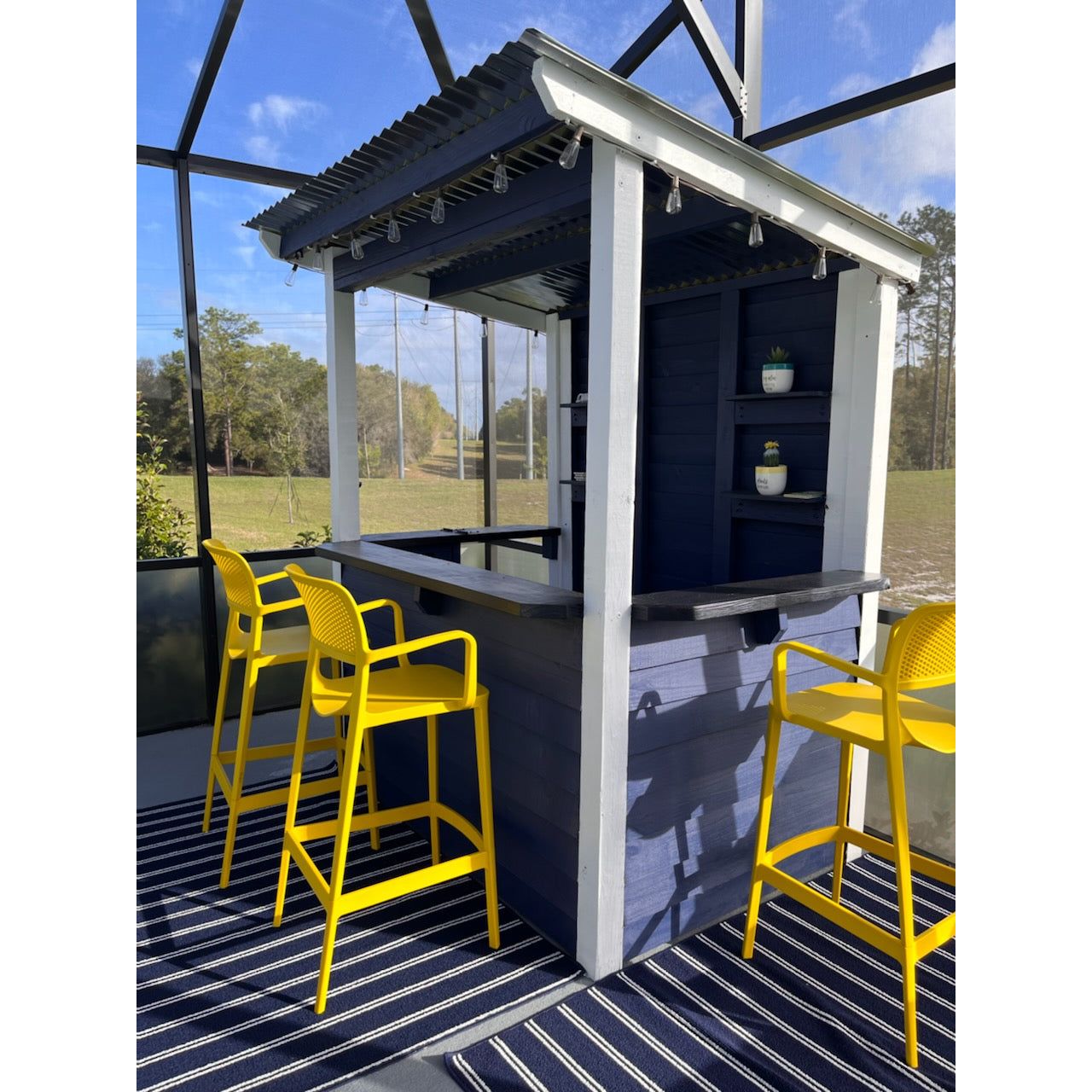 Taverns-To-Go 6 x 4 The Temple Bar (SMALL)