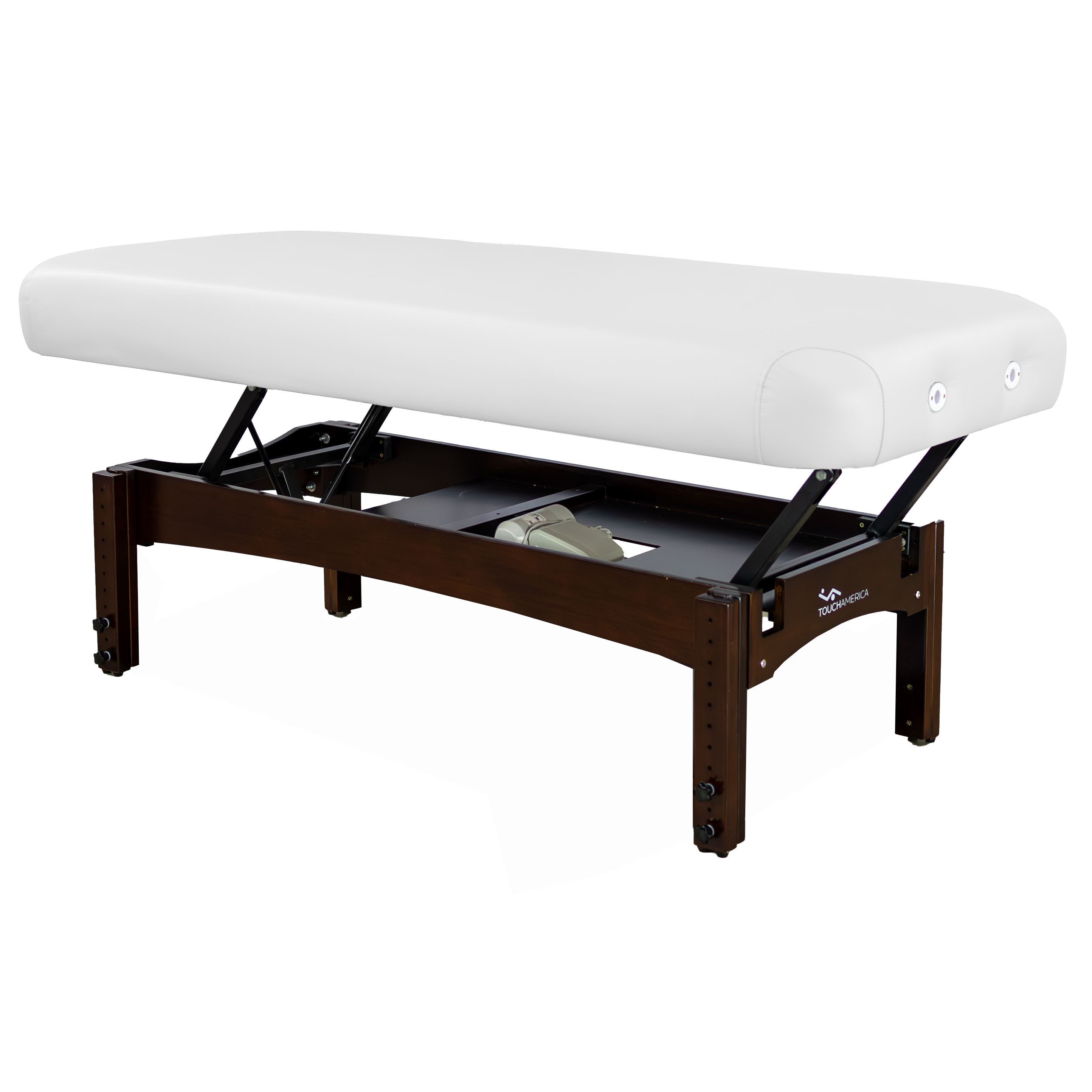 TouchAmerica Olympus Electric Lift Spa and Massage Table
