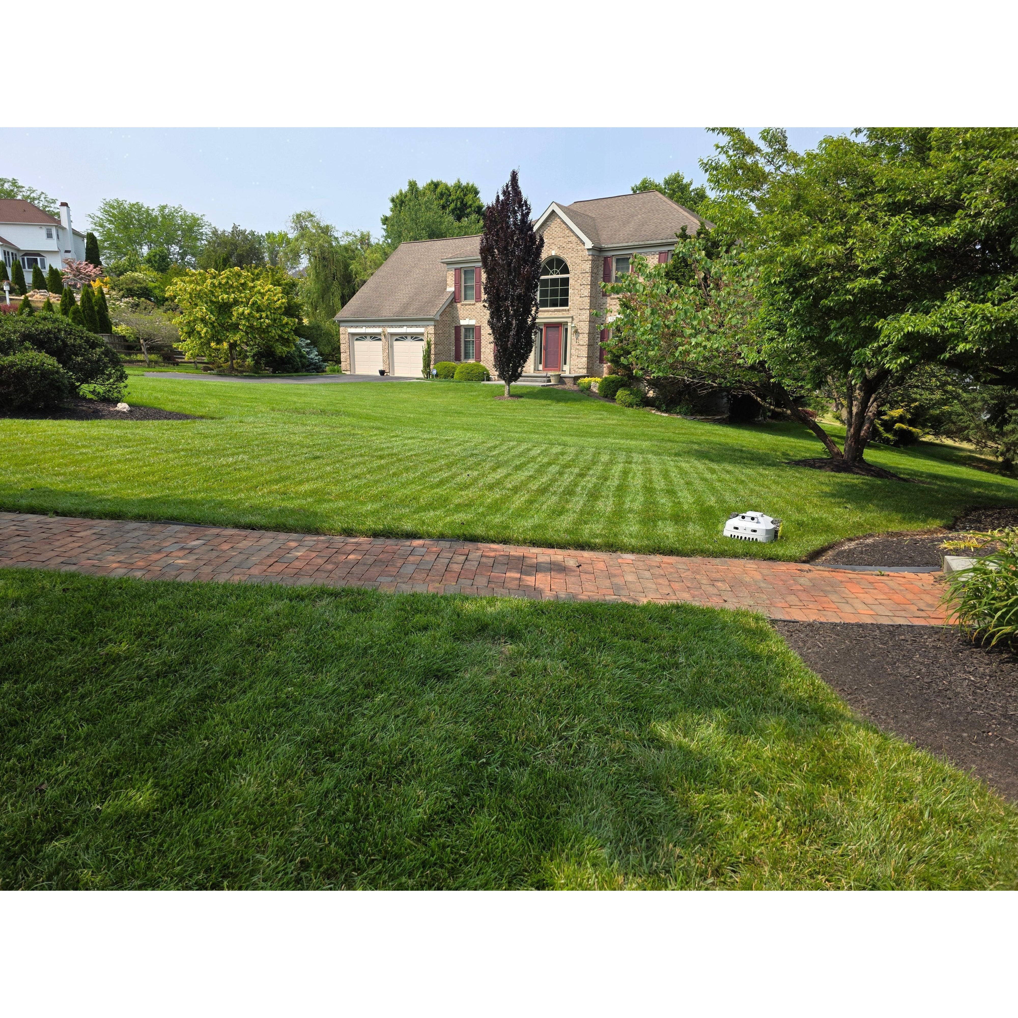 BESTMOW Titan-100 Robotic Lawn Mower