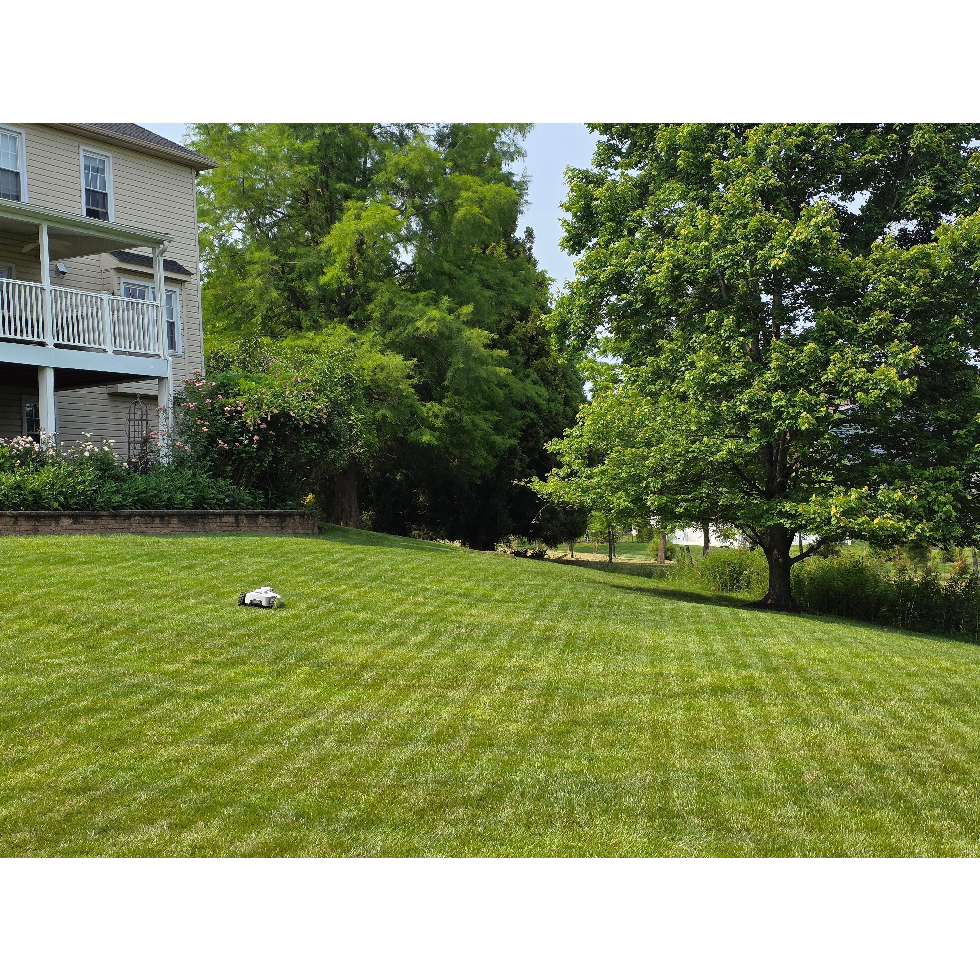 BESTMOW Titan-100 Robotic Lawn Mower