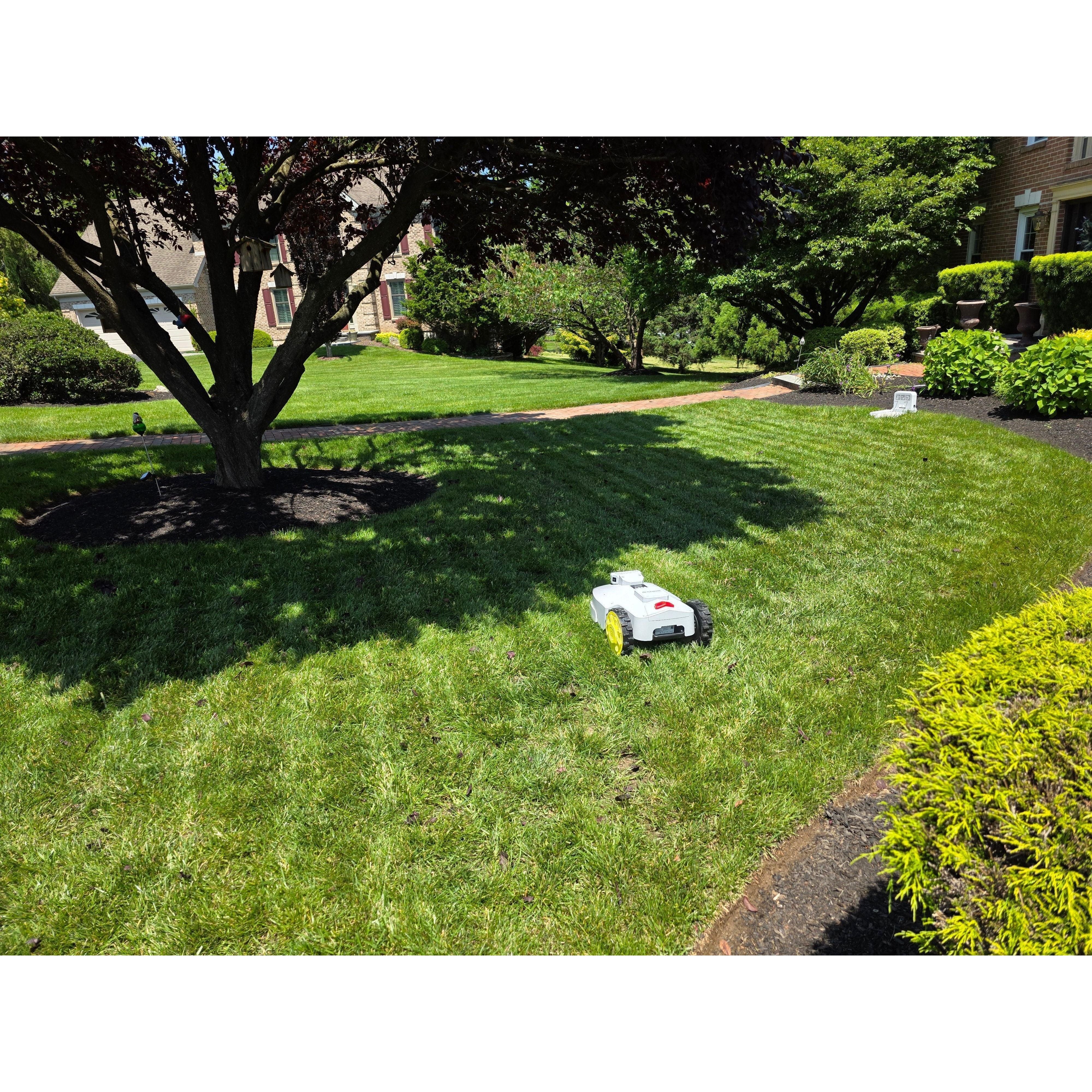 BESTMOW Titan-100 Robotic Lawn Mower
