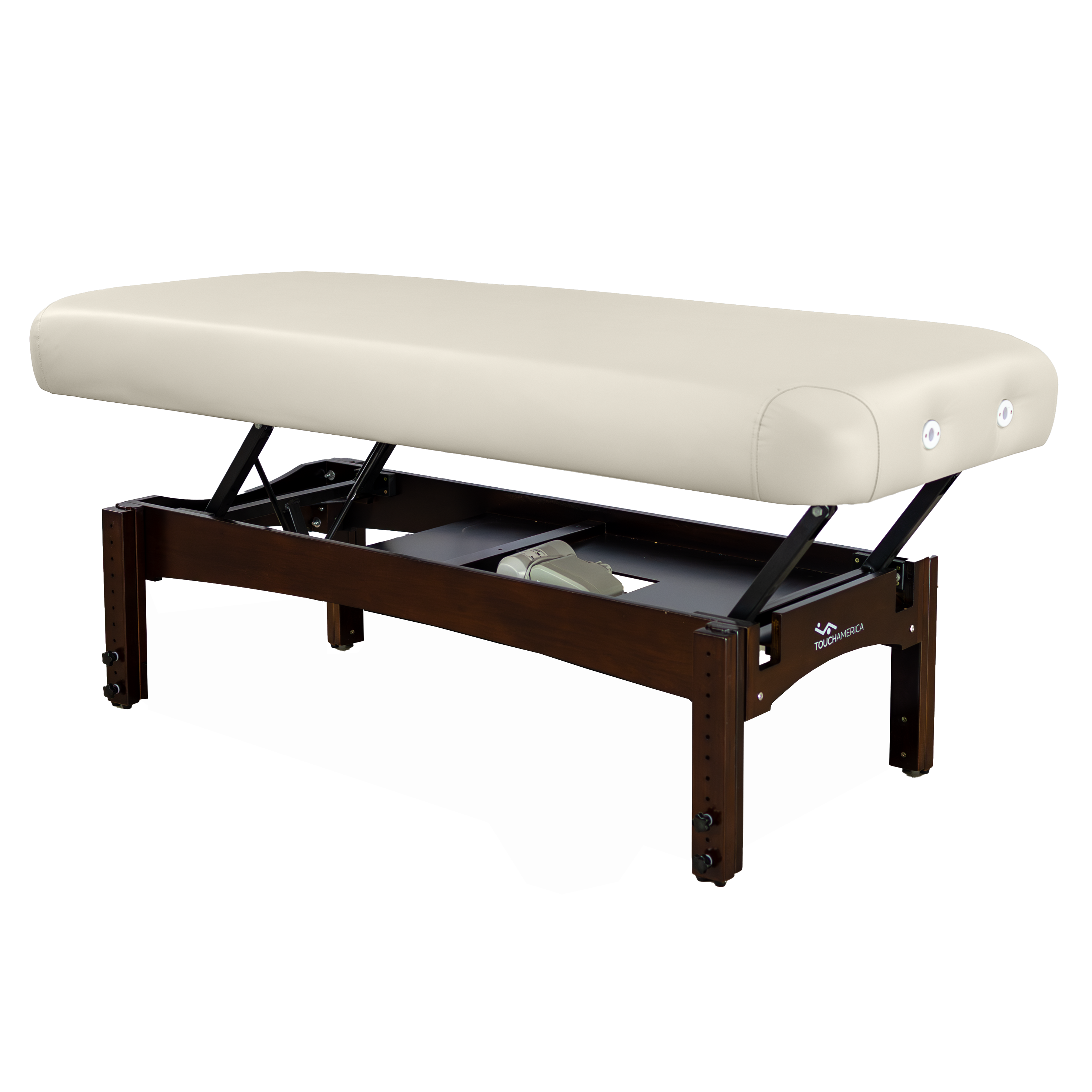 TouchAmerica Olympus Electric Lift Spa and Massage Table